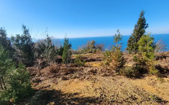 Земельный участок с  видом на море в  Сарпи.
