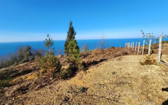 Земельный участок с  видом на море в  Сарпи.
