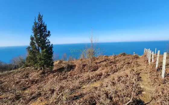 Земельный участок с  видом на море в  Сарпи.