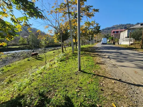 Село Чарнали в муниципалитете Хелвачаури.
