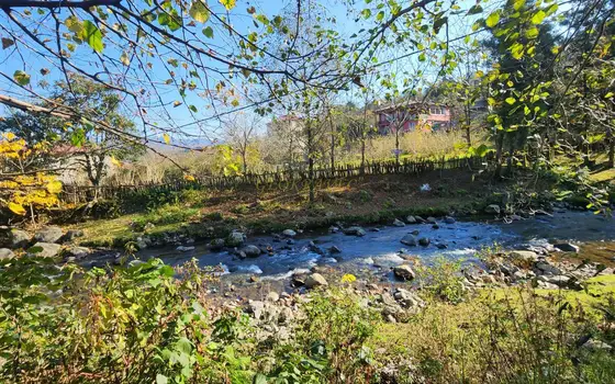 В селе Чарнали  на берегу  мальенкой речки. - სურათი 1