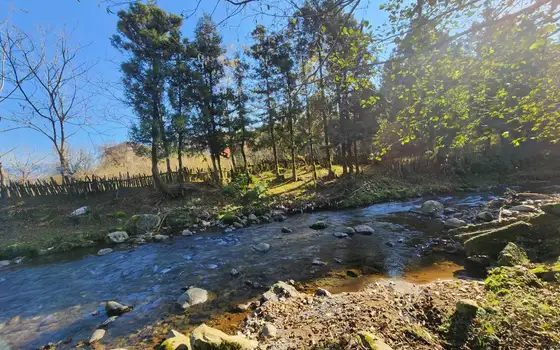 В селе Чарнали  на берегу  мальенкой речки.
