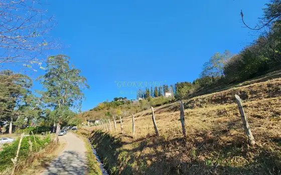 Село  Чарнали в муниципалитете Хелвачаури.