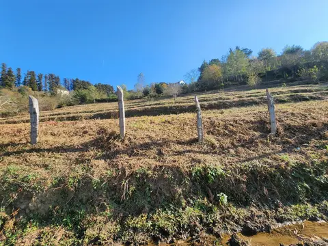 Село  Чарнали в муниципалитете Хелвачаури.