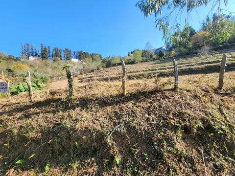 Село  Чарнали в муниципалитете Хелвачаури.