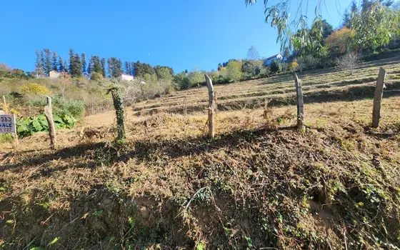 Село  Чарнали в муниципалитете Хелвачаури.
