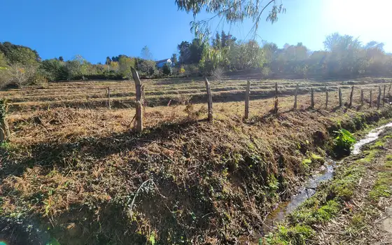 Село  Чарнали в муниципалитете Хелвачаури.