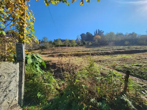 Село  Чарнали в муниципалитете Хелвачаури.