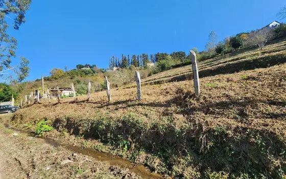 Село  Чарнали в муниципалитете Хелвачаури.