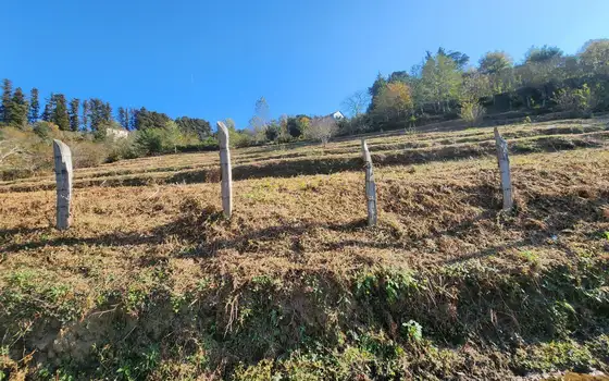 Село  Чарнали в муниципалитете Хелвачаури.
