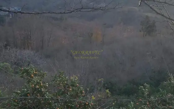 Село Кончкати Озургетского муниципалитета.