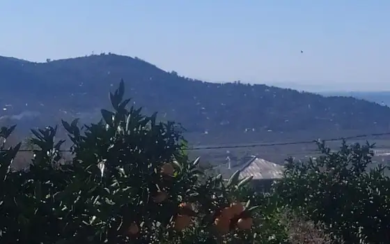 1500 sq. m Land Plot with Panoramic Sea and Batumi Views in Urekhi, photo 7