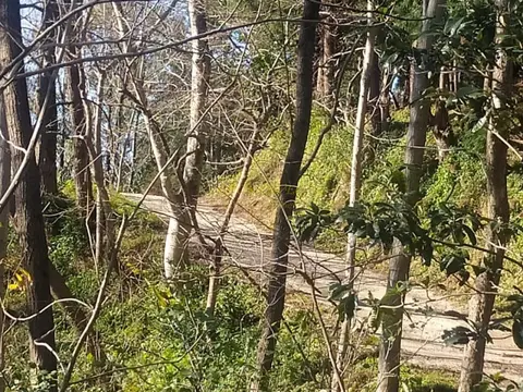 Земельный участок с видом на море в поселке Урехи, недалеко от Батуми.