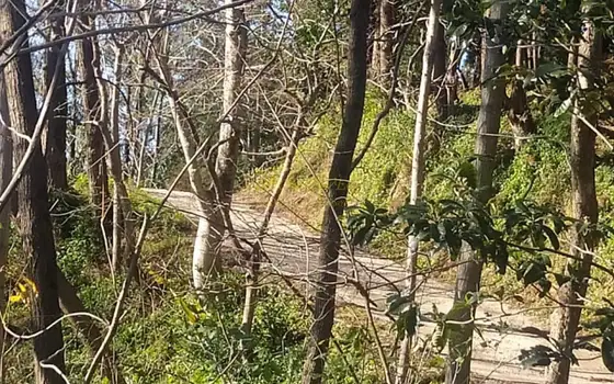 Земельный участок с видом на море в поселке Урехи, недалеко от Батуми.