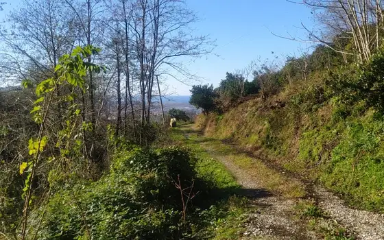 1500 sq. m Land Plot with Panoramic Sea and Batumi Views in Urekhi, photo 10