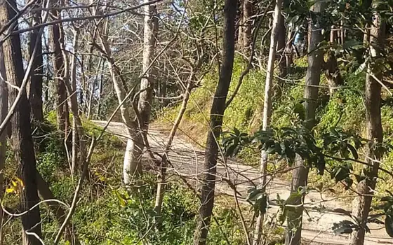 Земельный участок с видом на море в поселке Урехи, недалеко от Батуми.