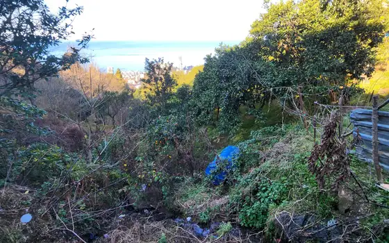 Sea View Land Plot in Gonio, photo 10