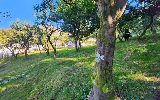 1000 m² Land Plot in Gonio with View, photo 9