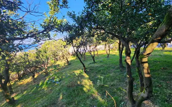 1000 m² Land Plot in Gonio with View, photo 2