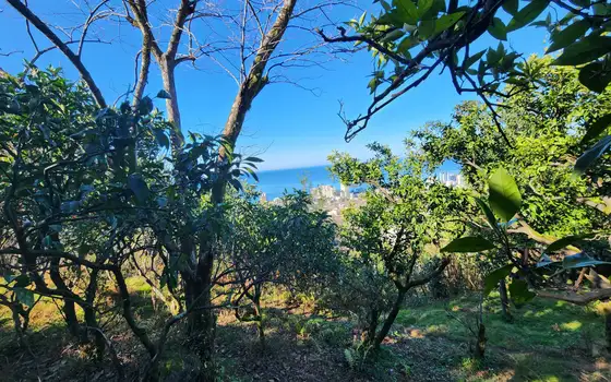 1000 m² Land Plot in Gonio with View, photo 5