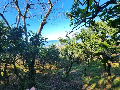 В одном из популярных курортов Черного моря, Гонио.