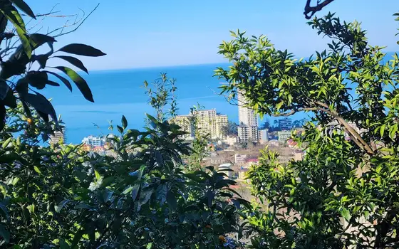 В одном из популярных курортов Черного моря, Гонио. - სურათი 1