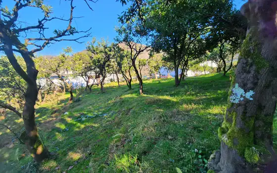 1000 m² Land Plot in Gonio with View, photo 8