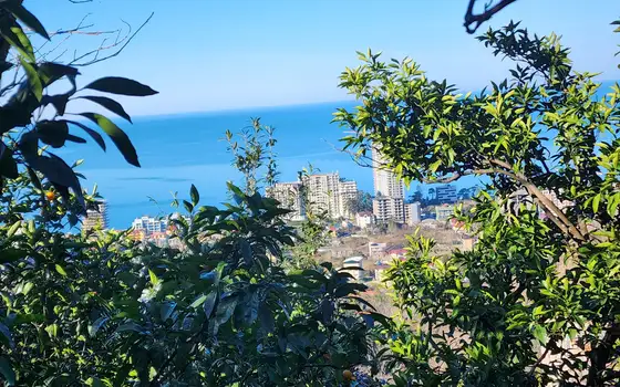 1000 m² Land Plot in Gonio with View, photo 6