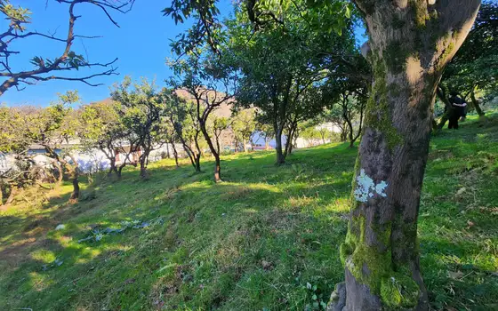 1000 m² Land Plot in Gonio with View, photo 10