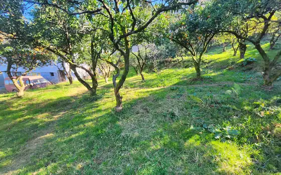 1000 m² Land Plot in Gonio with View, photo 12