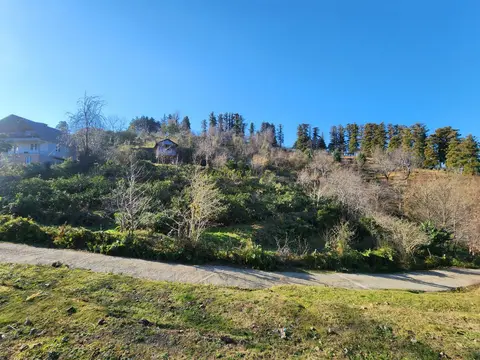 Земельный участок в селе Тхилнари Хелвачаурского муниципалитета с разрешением на строительство двухэтажного дома.