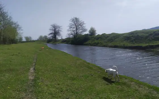Самегрело, муниципалитет Абаши , село Первое Мая.