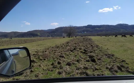 Самегрело, муниципалитет Абаши , село Первое Мая.