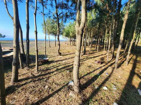 В  Шекветили  Поселок  Капровани у моря.