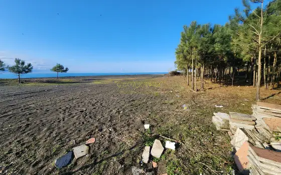 В  Шекветили  Поселок  Капровани у моря.