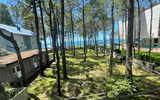 Приморский курорт в Григолети.