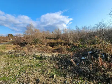 Земельный участок в Шекветили, поселок Капровани.