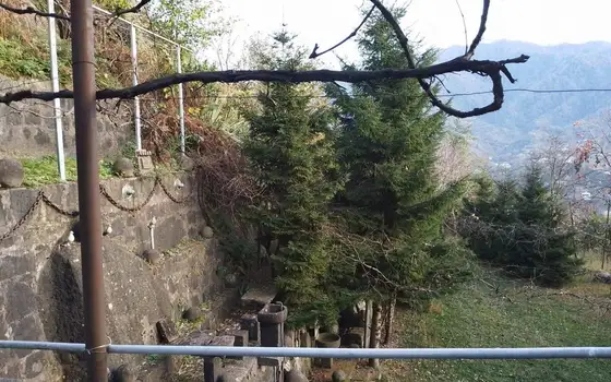 Дом с участком земли в село Кобулети, муниципалитет Кобулети.