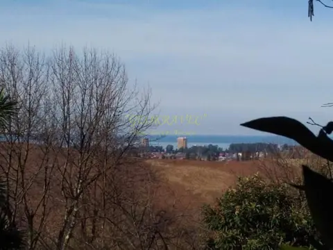 Продам земельный участок в Чаисубани с видом на море и горы. Аджария, - изображение 1