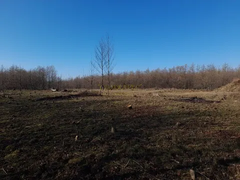Земельный участок в Гурии, курорт Уреки.