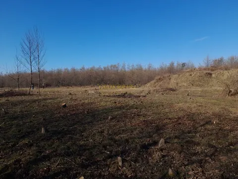 Земельный участок в Гурии, курорт Уреки.