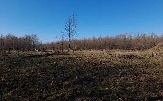 Земельный участок в Гурии, курорт Уреки.