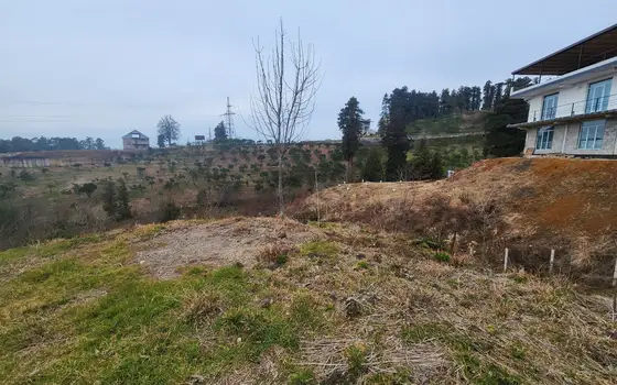 Adjara, resort Chakvi, land in the central part of the village., photo 4