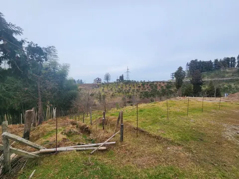 Аджария, курорт Чакви, земельный участок  в центральной части поселка.