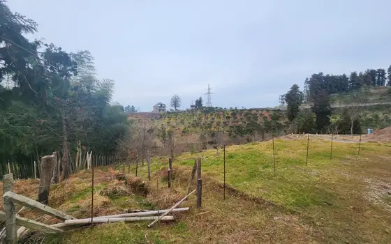 Аджария, курорт Чакви, земельный участок  в центральной части поселка.