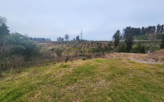 Аджария, курорт Чакви, земельный участок  в центральной части поселка.