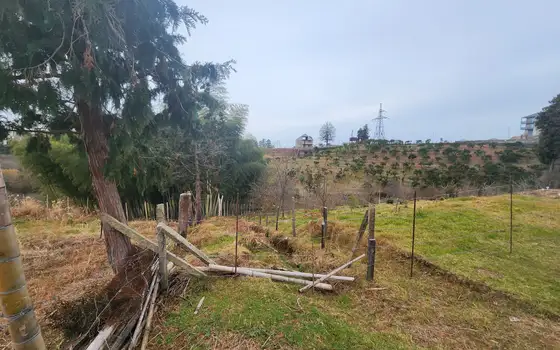 Adjara, resort Chakvi, land in the central part of the village., photo 12