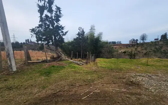 Adjara, resort Chakvi, land in the central part of the village., photo 10