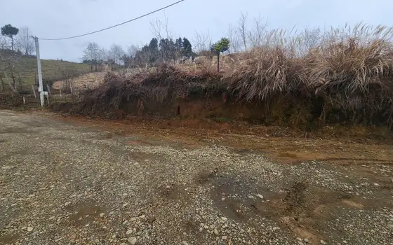 Adjara, resort Chakvi, land in the central part of the village., photo 7