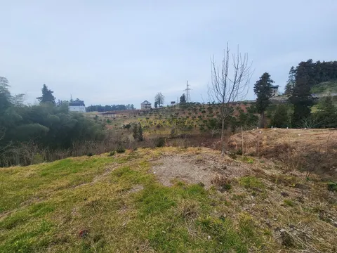 Аджария, курорт Чакви, земельный участок  в центральной части поселка.